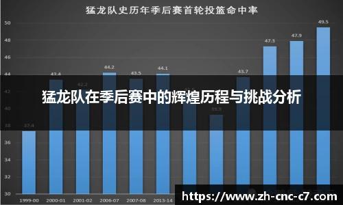 猛龙队在季后赛中的辉煌历程与挑战分析